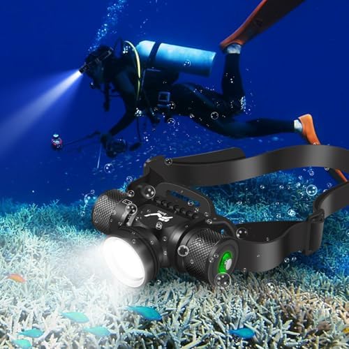 WINDFIRE Scuba Diving Light