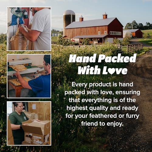 Elegant Sustainable Hen Nesting Pads for Hens Farmers