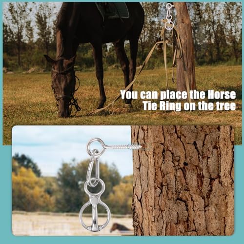 Safe Training Horse Tie Ring
