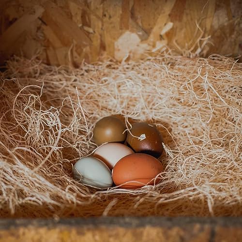 Elegant Sustainable Hen Nesting Pads for Hens Farmers