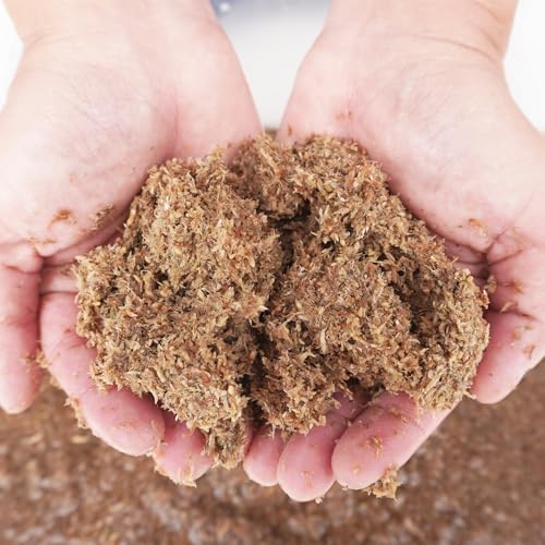 Intense Moisture for Turtles Super 2QT Sphagnum Substrate by Begeterday