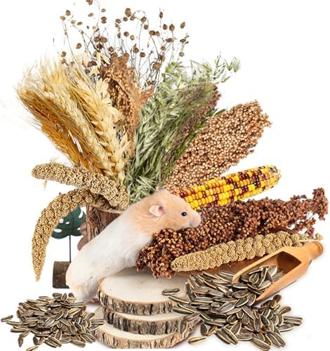 Hamster Grain Ear Florian Bedding Eco-Friendly Habitat Decor