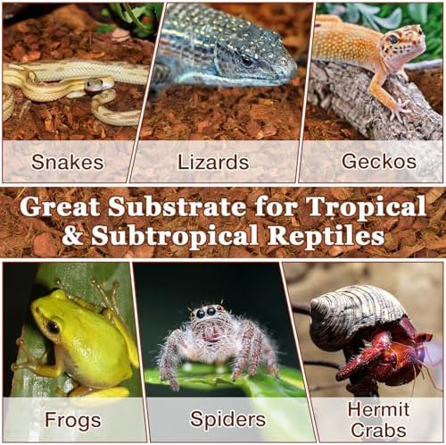 Bespoke Natural Coconut Chips Substrate for Reptiles amphibians and more