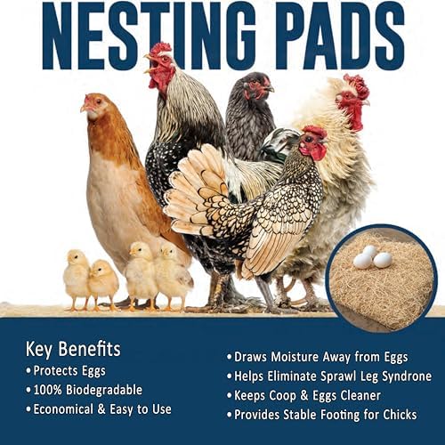 Trendiees Nest Pads for Chicken Coop Aspen Bedding