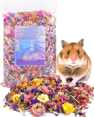 Bissap Flower Bed