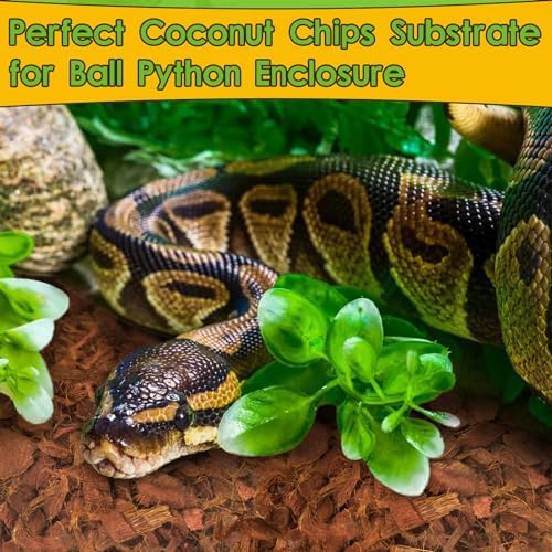 Halatool 2Pack Coconut Husk Substrate for Reptiles