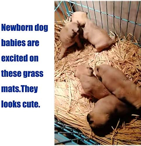 Grass Mat Woven Bed Mat for Small Animals Pack of 3