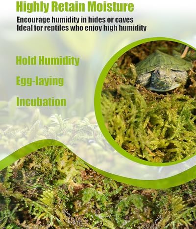 Allure of Sphagnum Moss