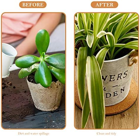 Cork Plant Coasters for Furniture Protection