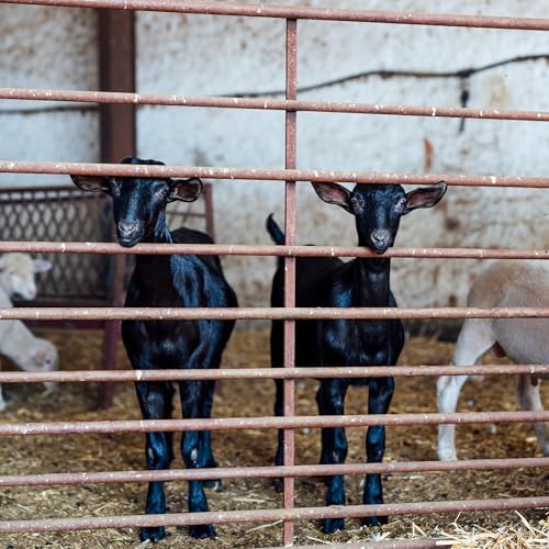 Ruralty Farm Gate Anchor 18in Spring-Loaded Cattle Gate Drop Rod