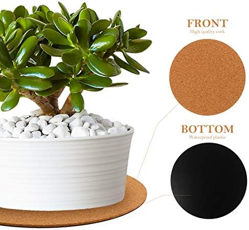 Cork Plant Coasters for Furniture Protection