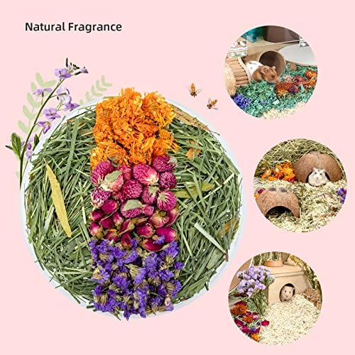 Niteangel Hamster Flower Bedding