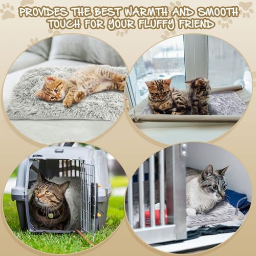 Keep Pets Warm