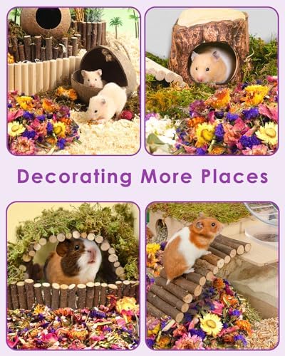 Bissap Flower Bed