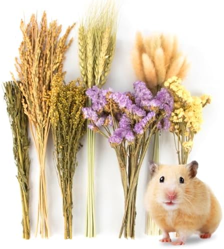 Sukh Nature Flower Hamster Bedding
