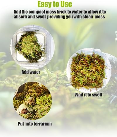 Allure of Sphagnum Moss