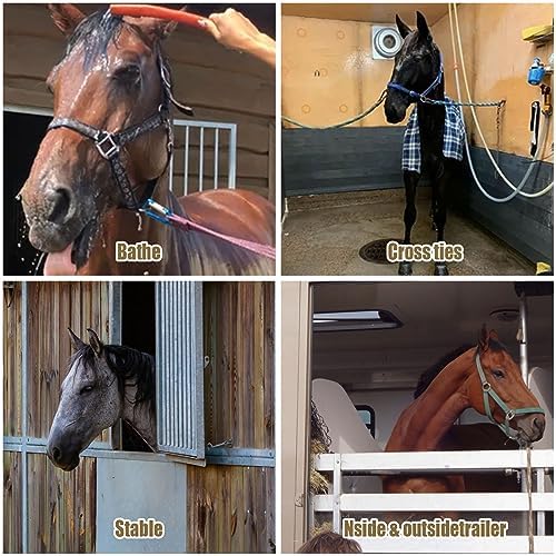 Sturdy 3-Pack Tie Ring Set for Horses Durable and Safe