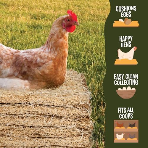 Aspen Shavings Nesting Liners with 4oz Herbs for Birds 10 Pack
