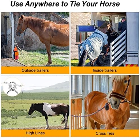 Horse Training Tie Ring Safe humane for horses and colts