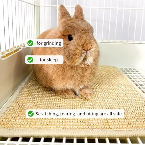 Onnpcare Rabbit Scratch Mat