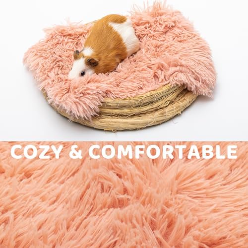 Guinea Pig Blankets 4-Pack