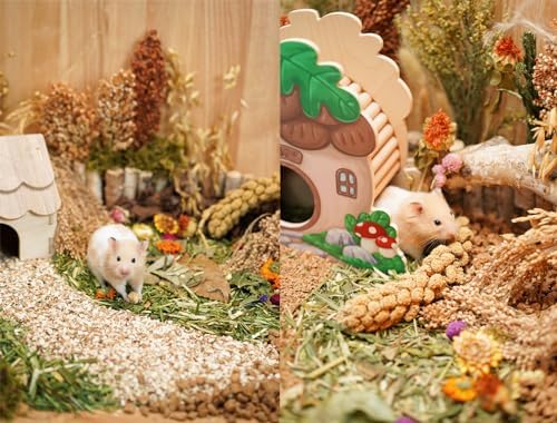 JFWOD Nature-Balanced Hamster Bedding Treats
