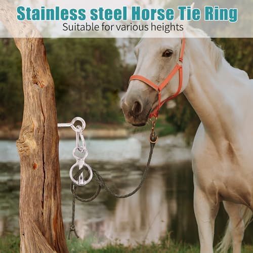Safe Training Horse Tie Ring