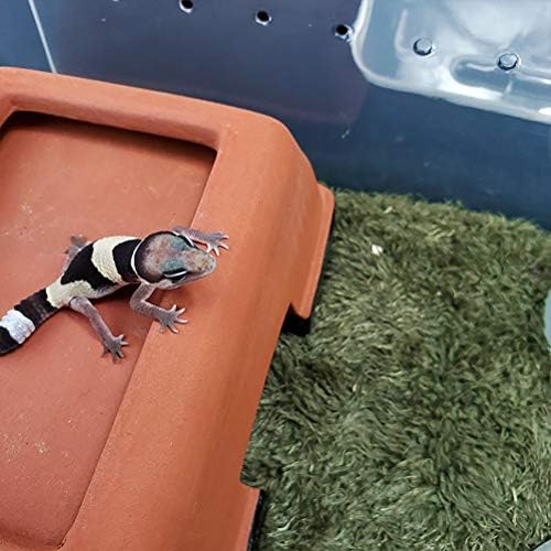 Kathson Reptile Carpet