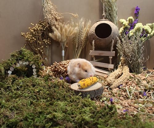 JFWOD Nature-Balanced Hamster Bedding Treats