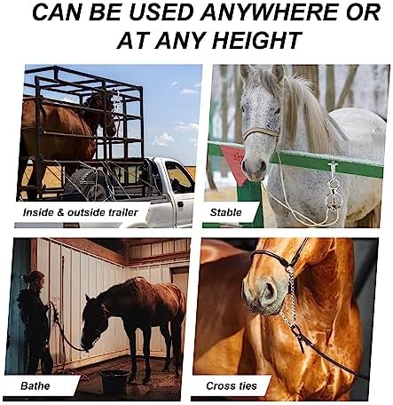 LUTER Heavy Duty Horse Tie Ring Set