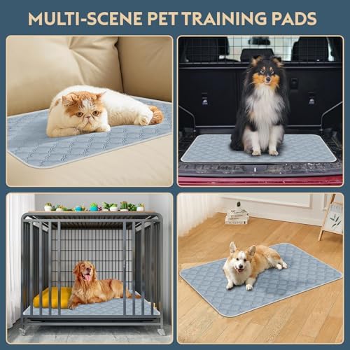 Washable GUINNergy Pad - Reusable GUINNergy Pad for Guinea Pigs Light Grey