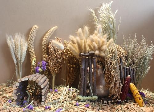 JFWOD Nature-Balanced Hamster Bedding Treats