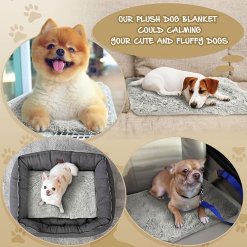Keep Pets Warm