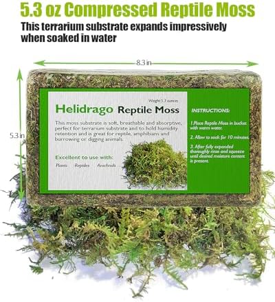 Allure of Sphagnum Moss