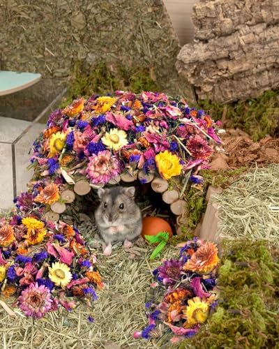 Bissap Flower Bed