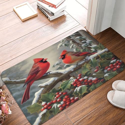 Welcome Weekend Warrior Winter Red Birds Door Mat