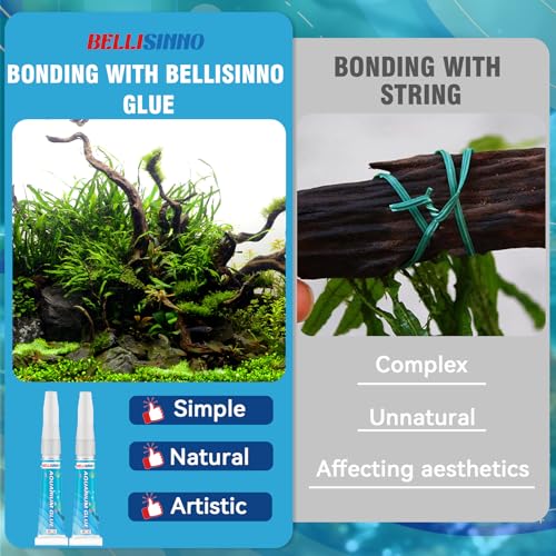 Bellisinno Aquarium Glue Clear Reef Adhesive 5g 2pcs