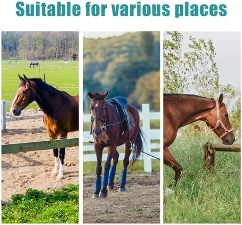 Safe Training Horse Tie Ring