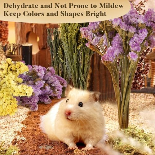 Sukh Nature Flower Hamster Bedding