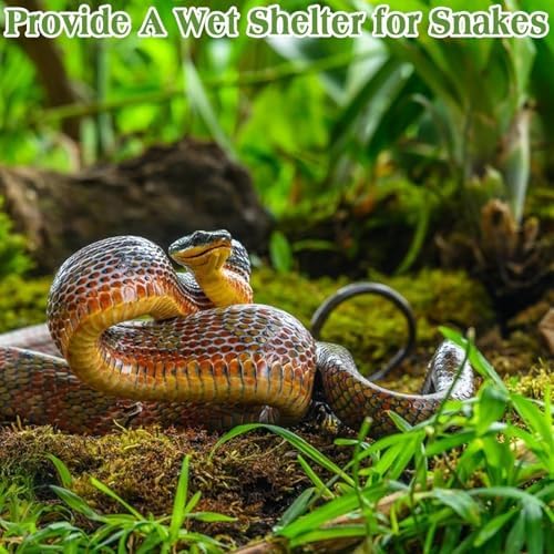 Halatool 11LB Sphagnum Moss for Reptiles and Small Pets