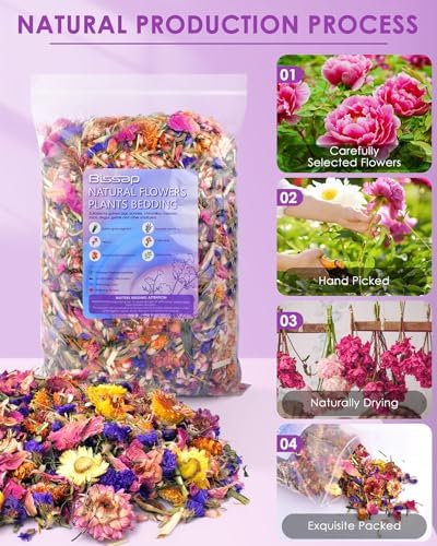 Bissap Flower Bed