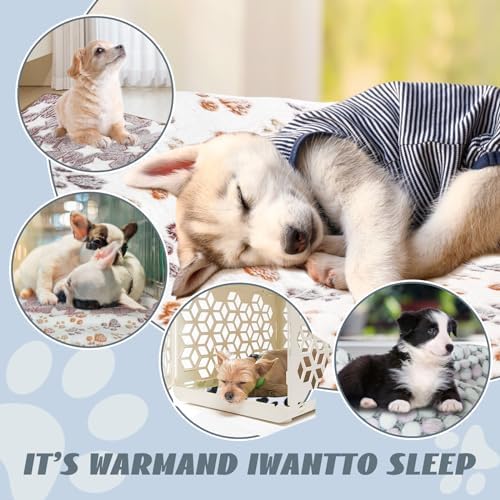 6 Pcs Absorbent Guinea Pig Blankets