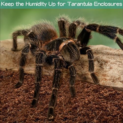 Organic Coconut Fiber Bedding for Reptiles 14lb