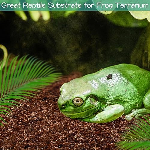 Organic Coconut Fiber Bedding for Reptiles 14lb