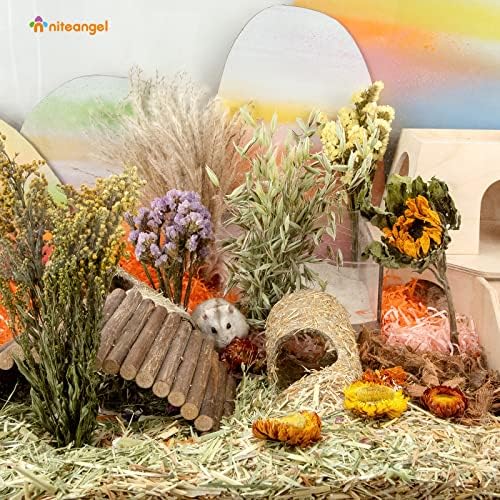 Niteangel Natural Flower Bedding for Hamsters Gerbils Mice