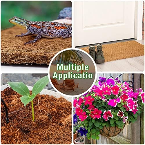 Zeedix 10 Piece Reptile Carpet Mat