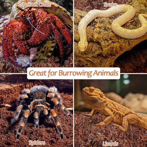 Riya 2-Pack Natural Coconut Fiber Substrate for Reptiles and Amphibians