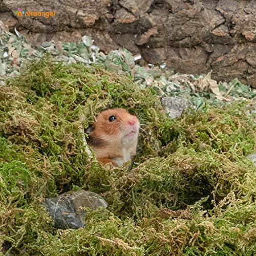 Niteangel 5L Forest Moss Soft Bedding for Small Rodents Nesting