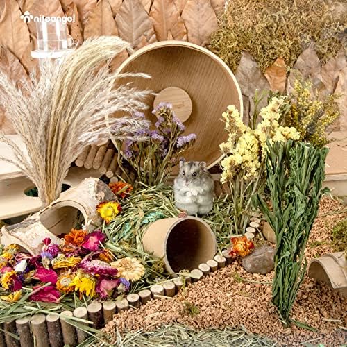 Niteangel Natural Flower Bedding for Hamsters Gerbils Mice