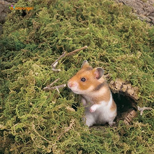 Niteangel 5L Forest Moss Soft Bedding for Small Rodents Nesting